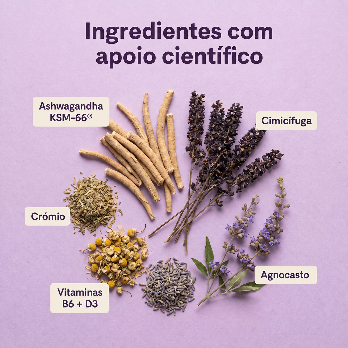 Meno-Menopausa Amália 2x1